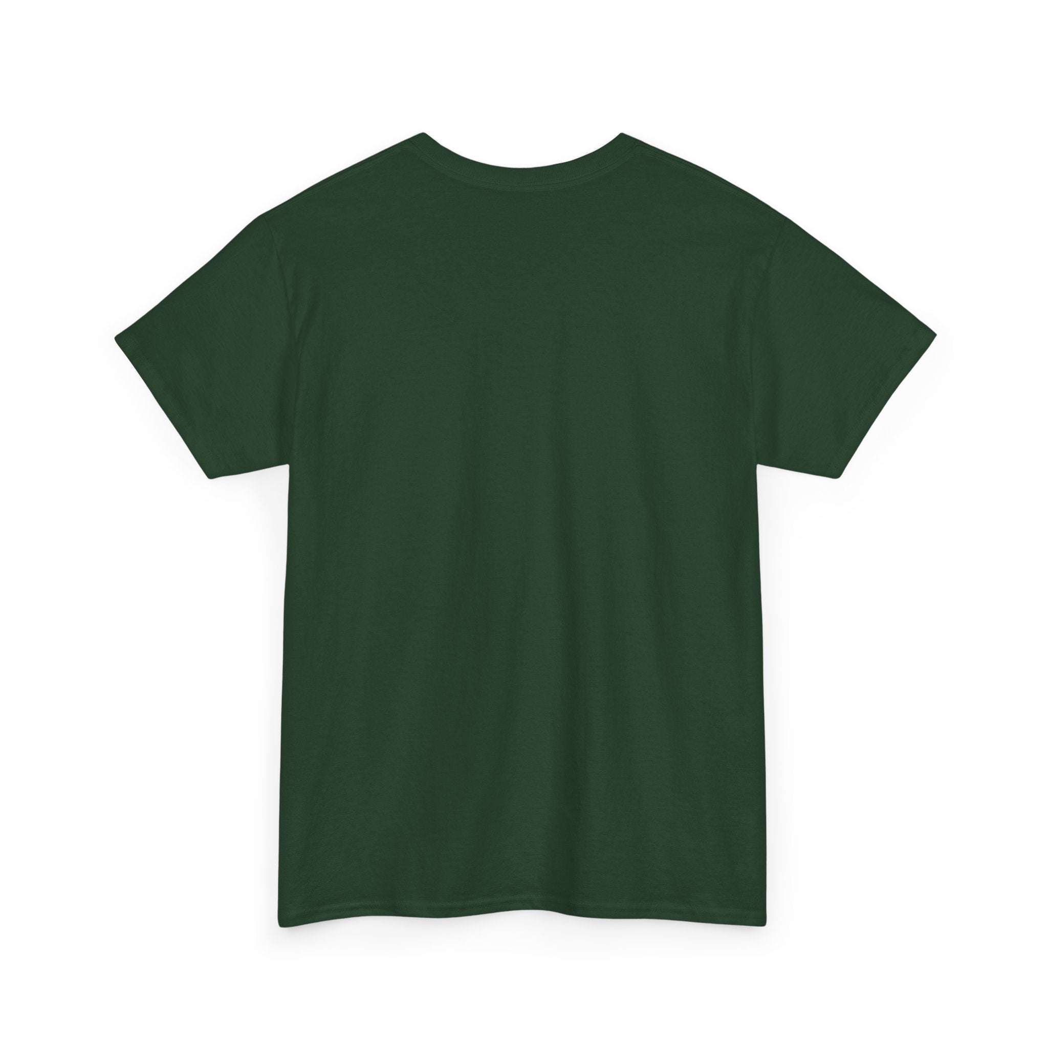 Teaching Is My Ministry T-Shirt — Christian Teacher Gift, Colossians 3:23 Faith Tee